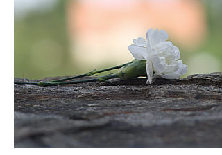 Besenreine Nachlassauflösung nach Todesfall von Angehörigen in Bremen und umzu